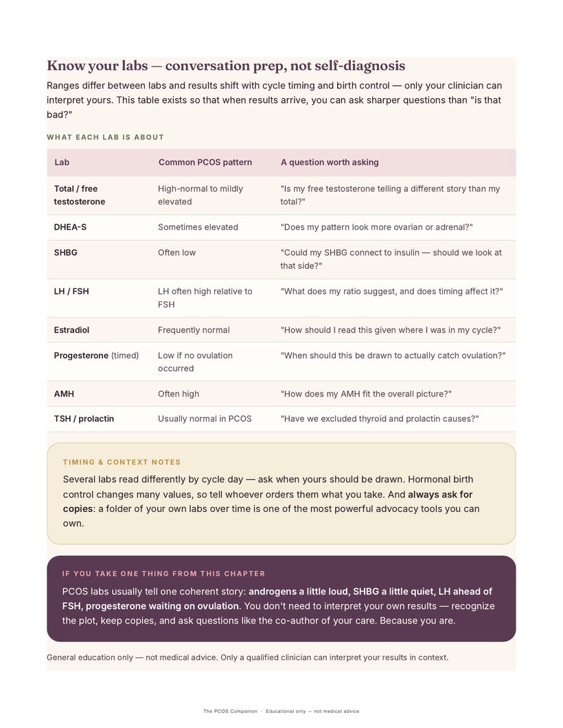Guide page translating each PCOS lab marker into a question worth asking