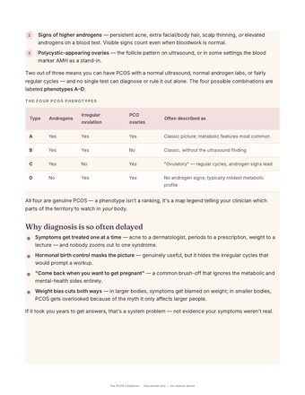 A real page from the guide: the four PCOS phenotypes explained in a table